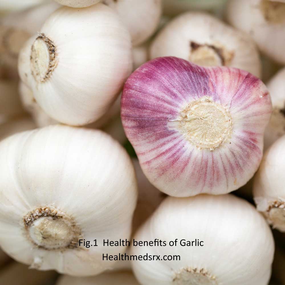 Health benefits of Garlic Healthmedsrx