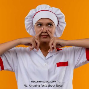 Amazing Facts About Nose