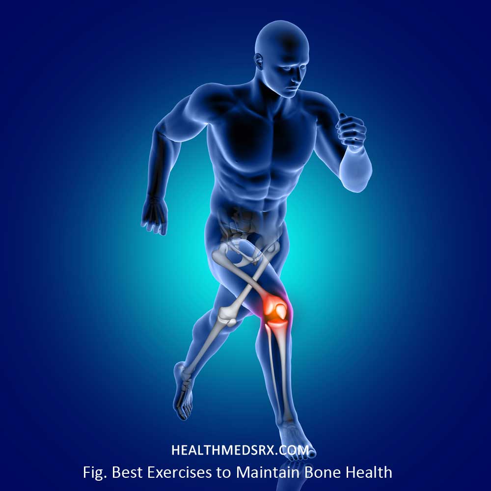 Best Exercise to Maintain Bone Health