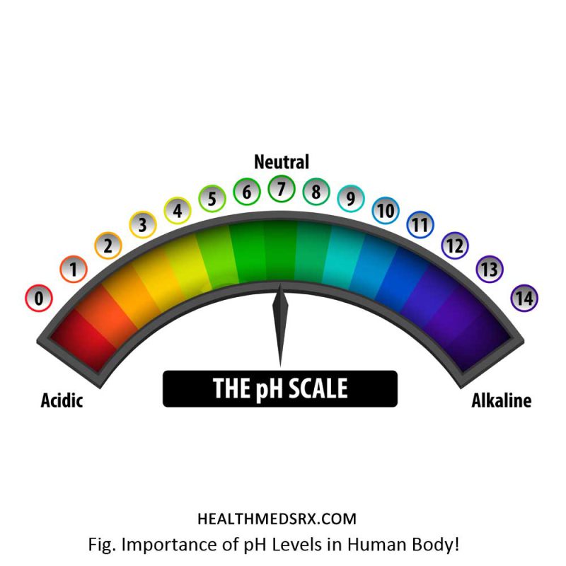 Importance of pH Levels in Human Body!