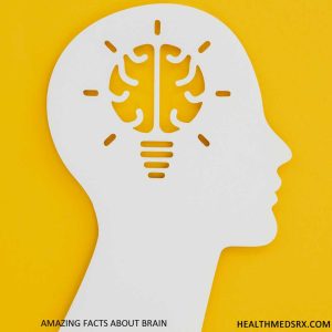Amazing Facts Of Brain