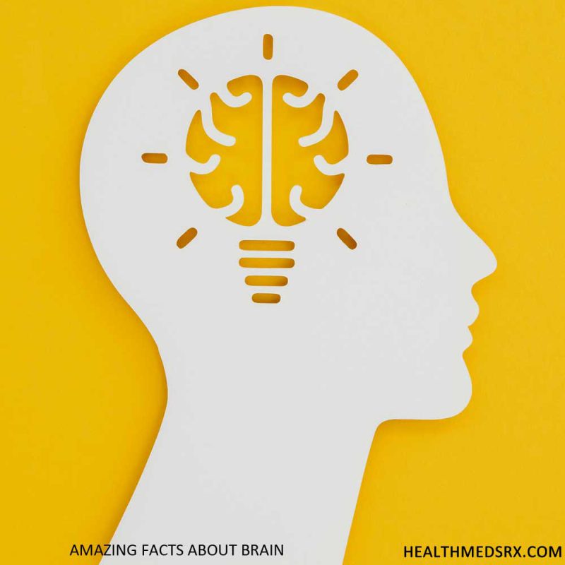 Amazing Facts Of Brain