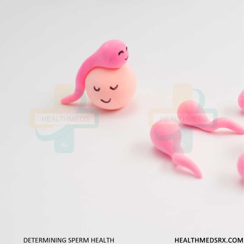 Determining Sperm Health