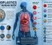 Microplastics in human body