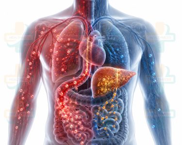 Fructose vs Glucose